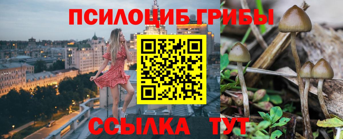 Псилоцибиновые грибы Psilocybe  Галлюциногенные грибы MAGIC MUSHROOMS  Кандалакша  Вход с VPN 