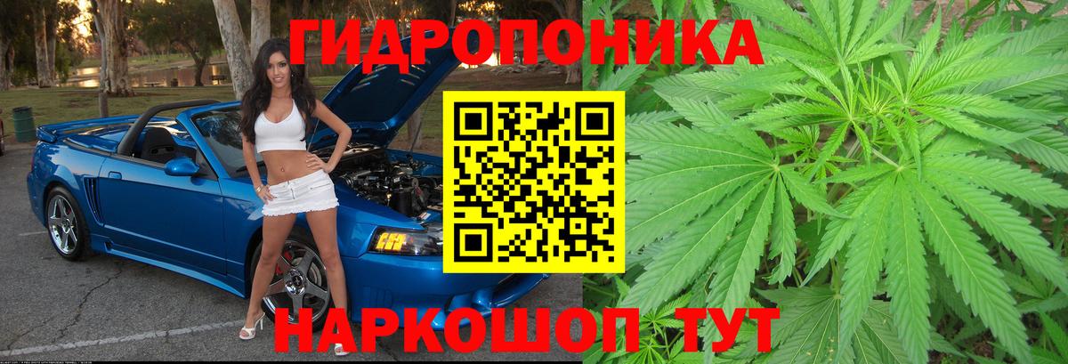 Марихуана Ganja Кандалакша